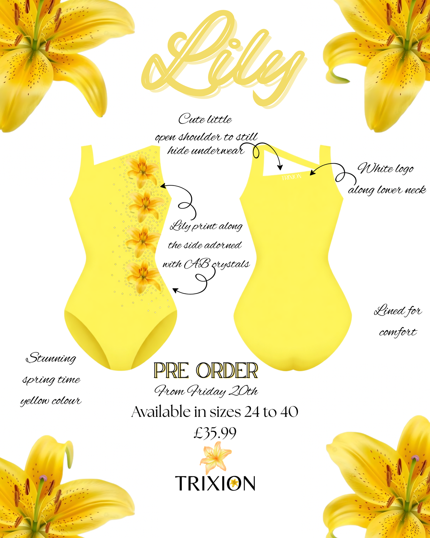 🌼 Lily 🌼